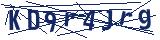 Captcha-Zeichenfolge