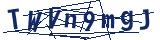 Captcha-Zeichenfolge