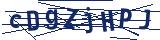Captcha-Zeichenfolge