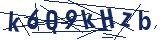 Captcha-Zeichenfolge