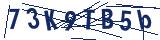 Captcha-Zeichenfolge