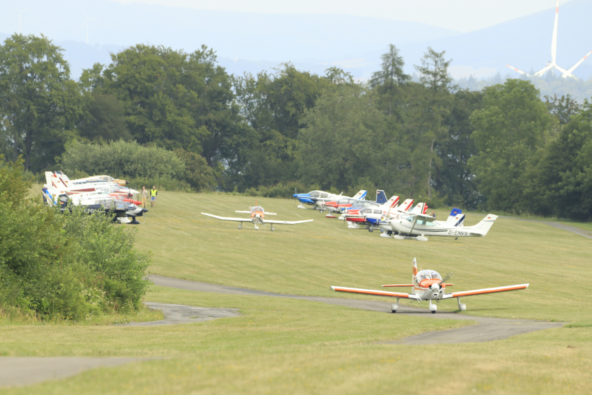 2. Robin Fly - In